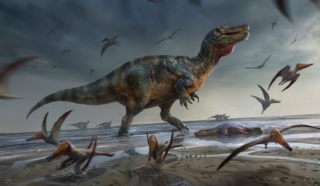 British fossil hunter discovers Europe’s largest predatory dinosaur