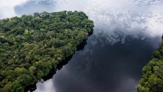 Aerial view of a peat forest in Lokolama/Penzele around Mbandaka, Equateur Province, Democratic Republic of the Congo.  Greenpeace Africa documents ground-based research by satellite data on vast areas of peatlands recently discovered by scientists in the rainforest swamps of the Congo Basin, as well as affected communities and the natural environment.  It is estimated that the world's carbon-rich tropical region stores the equivalent of three years' worth of all the world's fossil fuels.  Daniel Beltra / Greenpeace Africa 2017