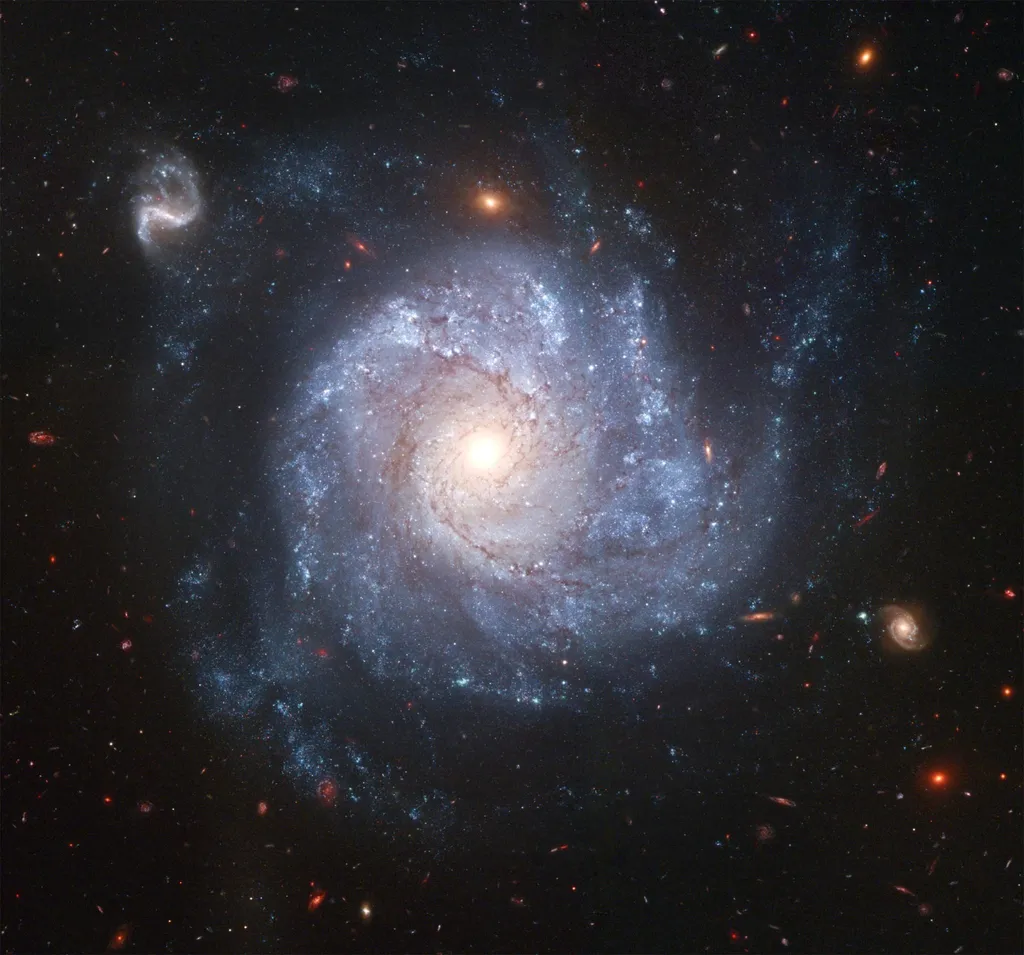 Spiral galaxy NGC 1309