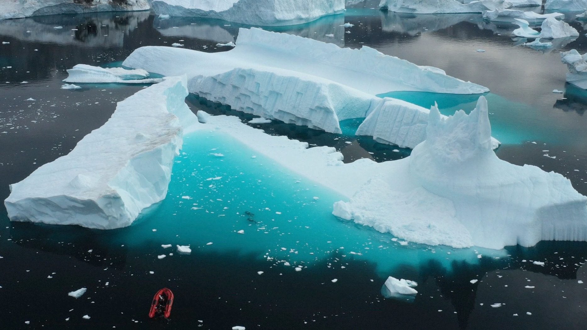 Greenland iceberg home where the snail fish was discovered.