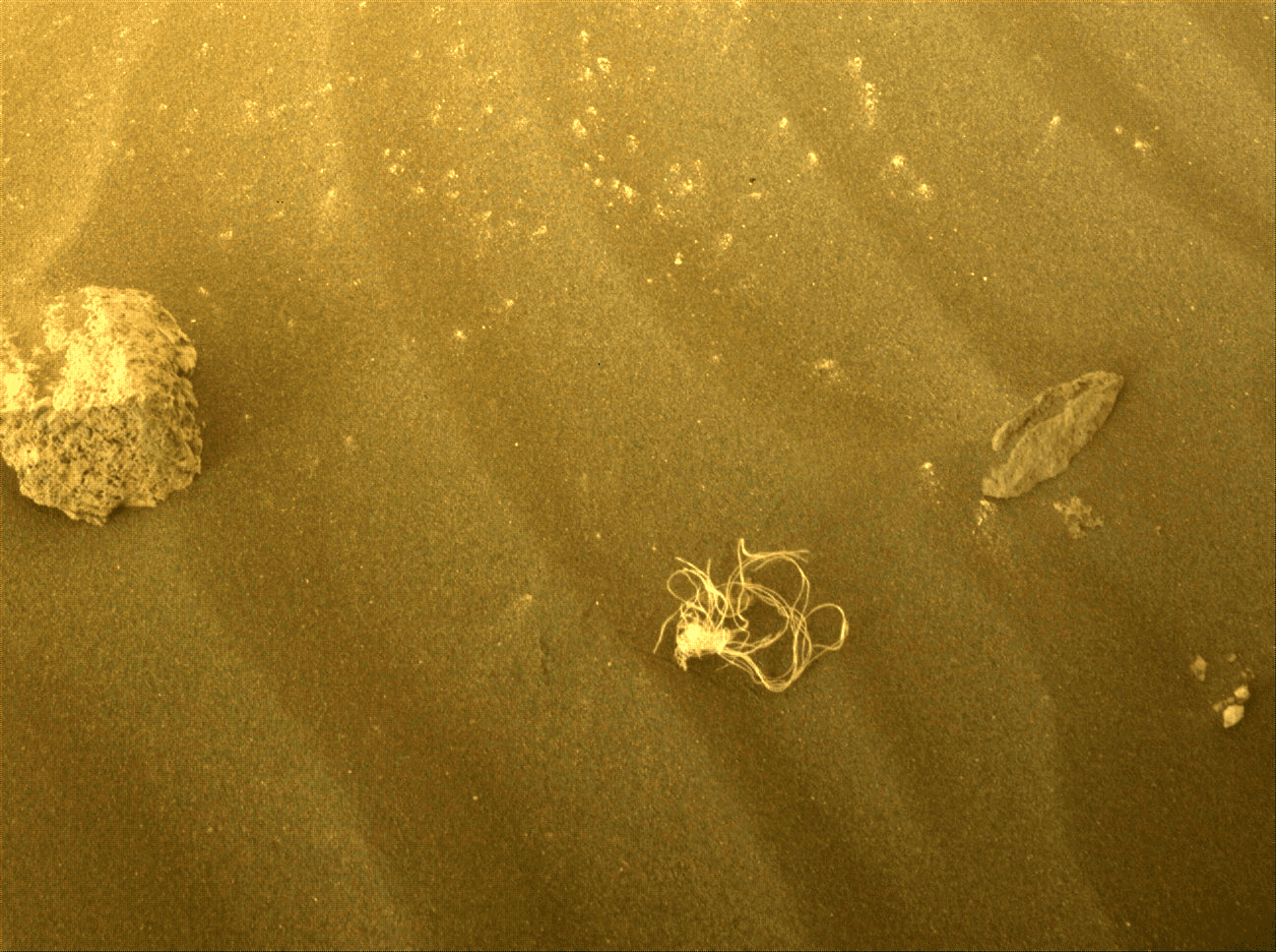 String-like material photographed by the Perseverance rover on Mars.